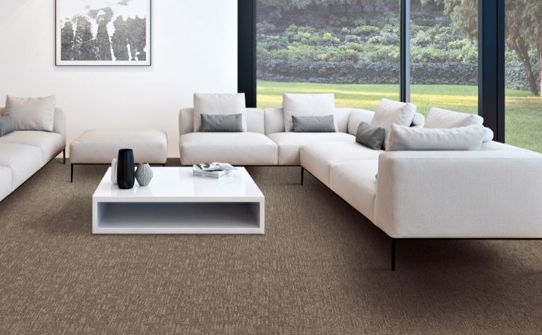 Brown Carpet Living Room